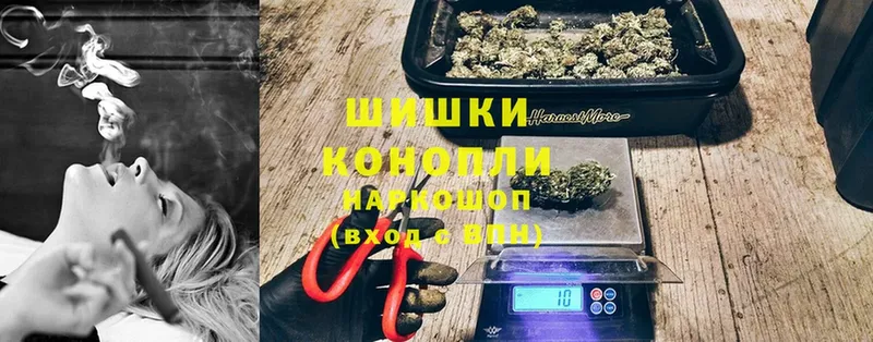 Конопля сатива  Кадников 